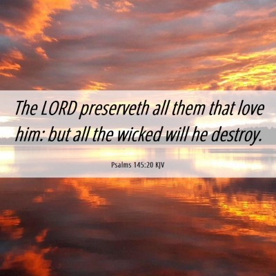 Picture 06 - Psalms 145:20 KJV - The LORD preserveth all them that love him: but - Bible Verse Picture