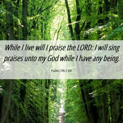 Picture 06 - Psalms 146:2 KJV - While I live will I praise the LORD: I will sing - Bible Verse Picture