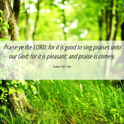 Picture 06 - Psalms 147:1 KJV - Praise ye the LORD: for it is good to sing - Bible Verse Picture