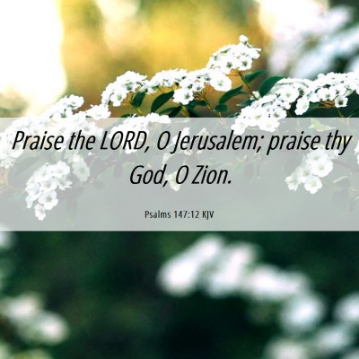 Picture 06 - Psalms 147:12 KJV - Praise the LORD, O Jerusalem; praise thy God, O - Bible Verse Picture