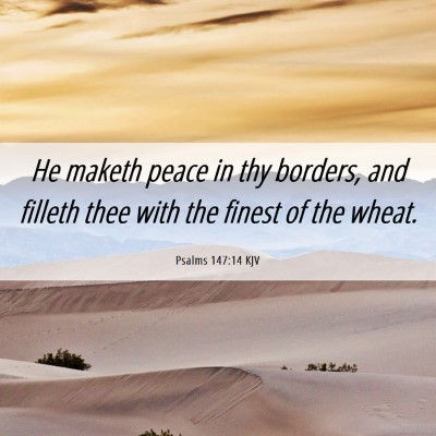 Picture 06 - Psalms 147:14 KJV - He maketh peace in thy borders, and filleth thee - Bible Verse Picture