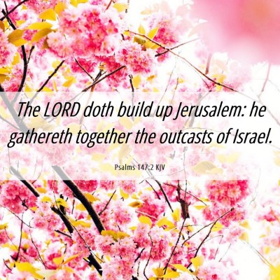 Picture 06 - Psalms 147:2 KJV - The LORD doth build up Jerusalem: he gathereth - Bible Verse Picture
