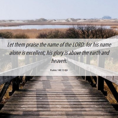 Picture 06 - Psalms 148:13 KJV - Let them praise the name of the LORD: for his - Bible Verse Picture