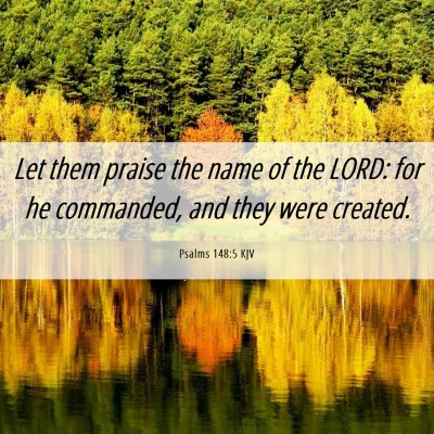 Picture 06 - Psalms 148:5 KJV - Let them praise the name of the LORD: for he - Bible Verse Picture