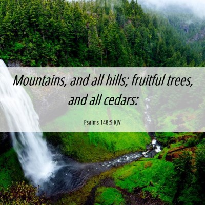Picture 06 - Psalms 148:9 KJV - Mountains, and all hills; fruitful trees, and all - Bible Verse Picture