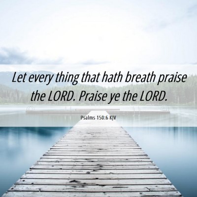 Picture 06 - Psalms 150:6 KJV - Let every thing that hath breath praise the LORD. - Bible Verse Picture