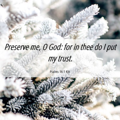 Picture 06 - Psalms 16:1 KJV - Preserve me, O God: for in thee do I put my - Bible Verse Picture