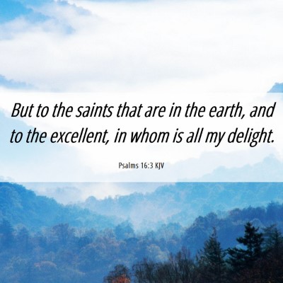 Picture 06 - Psalms 16:3 KJV - But to the saints that are in the earth, and to - Bible Verse Picture