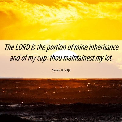 Picture 06 - Psalms 16:5 KJV - The LORD is the portion of mine inheritance and - Bible Verse Picture