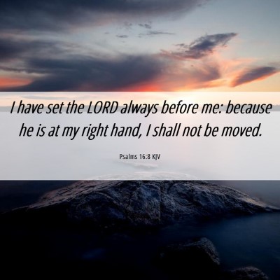 Picture 06 - Psalms 16:8 KJV - I have set the LORD always before me: because he - Bible Verse Picture