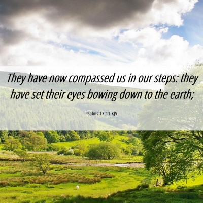 Picture 06 - Psalms 17:11 KJV - They have now compassed us in our steps: they - Bible Verse Picture