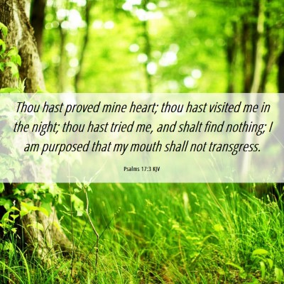 Picture 06 - Psalms 17:3 KJV - Thou hast proved mine heart; thou hast visited me - Bible Verse Picture
