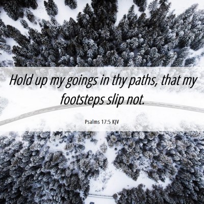 Picture 06 - Psalms 17:5 KJV - Hold up my goings in thy paths, that my footsteps - Bible Verse Picture