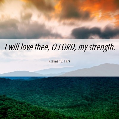 Picture 06 - Psalms 18:1 KJV - I will love thee, O LORD, my - Bible Verse Picture