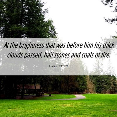 Picture 06 - Psalms 18:12 KJV - At the brightness that was before him his thick - Bible Verse Picture