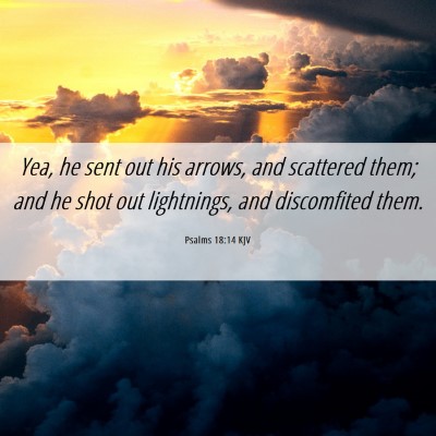 Picture 06 - Psalms 18:14 KJV - Yea, he sent out his arrows, and scattered them; - Bible Verse Picture