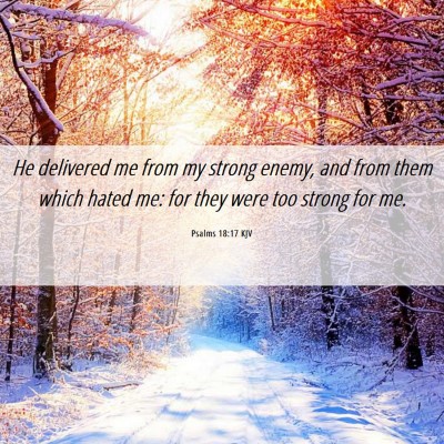 Picture 06 - Psalms 18:17 KJV - He delivered me from my strong enemy, and from - Bible Verse Picture