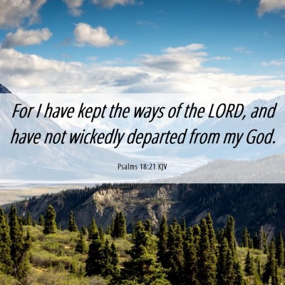 Picture 06 - Psalms 18:21 KJV - For I have kept the ways of the LORD, and have - Bible Verse Picture