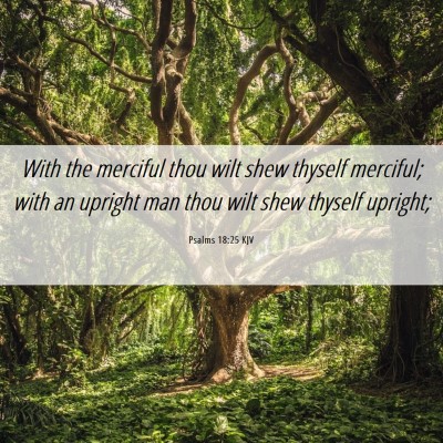 Picture 06 - Psalms 18:25 KJV - With the merciful thou wilt shew thyself - Bible Verse Picture