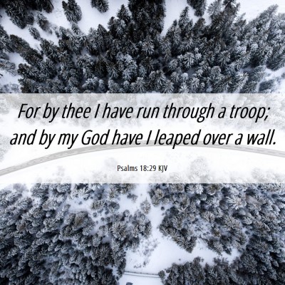 Picture 06 - Psalms 18:29 KJV - For by thee I have run through a troop; and by my - Bible Verse Picture