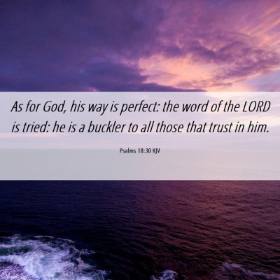 Picture 06 - Psalms 18:30 KJV - As for God, his way is perfect: the word of the - Bible Verse Picture
