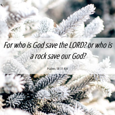 Picture 06 - Psalms 18:31 KJV - For who is God save the LORD? or who is a rock - Bible Verse Picture