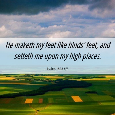 Picture 06 - Psalms 18:33 KJV - He maketh my feet like hinds' feet, and setteth - Bible Verse Picture