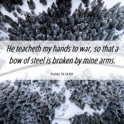 Picture 06 - Psalms 18:34 KJV - He teacheth my hands to war, so that a bow of - Bible Verse Picture