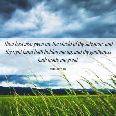 Picture 06 - Psalms 18:35 KJV - Thou hast also given me the shield of thy - Bible Verse Picture