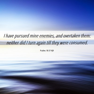 Picture 06 - Psalms 18:37 KJV - I have pursued mine enemies, and overtaken them: - Bible Verse Picture