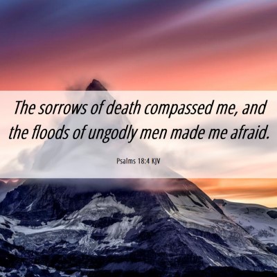 Picture 06 - Psalms 18:4 KJV - The sorrows of death compassed me, and the floods - Bible Verse Picture
