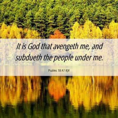 Picture 06 - Psalms 18:47 KJV - It is God that avengeth me, and subdueth the - Bible Verse Picture