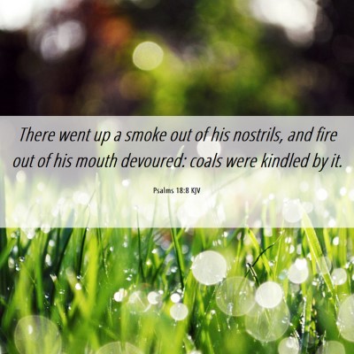 Picture 06 - Psalms 18:8 KJV - There went up a smoke out of his nostrils, and - Bible Verse Picture