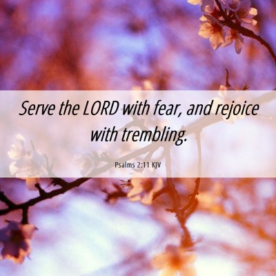 Picture 06 - Psalms 2:11 KJV - Serve the LORD with fear, and rejoice with - Bible Verse Picture