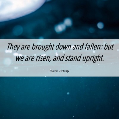 Picture 06 - Psalms 20:8 KJV - They are brought down and fallen: but we are - Bible Verse Picture