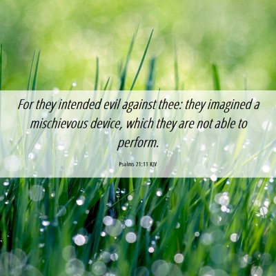 Picture 06 - Psalms 21:11 KJV - For they intended evil against thee: they - Bible Verse Picture