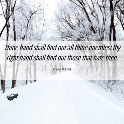 Picture 06 - Psalms 21:8 KJV - Thine hand shall find out all thine enemies: thy - Bible Verse Picture