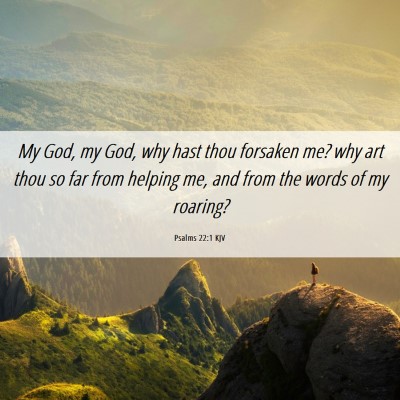 Picture 06 - Psalms 22:1 KJV - My God, my God, why hast thou forsaken me? why - Bible Verse Picture