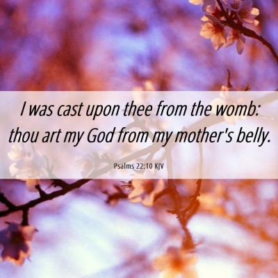 Picture 06 - Psalms 22:10 KJV - I was cast upon thee from the womb: thou art my - Bible Verse Picture