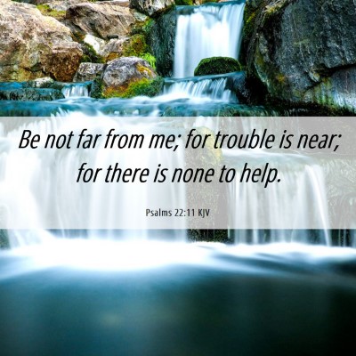 Picture 06 - Psalms 22:11 KJV - Be not far from me; for trouble is near; for - Bible Verse Picture
