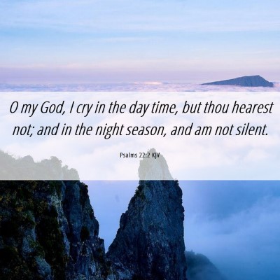 Picture 06 - Psalms 22:2 KJV - O my God, I cry in the day time, but thou hearest - Bible Verse Picture