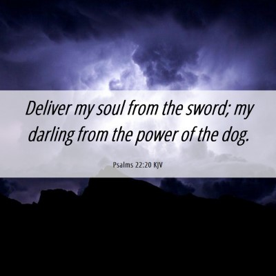Picture 06 - Psalms 22:20 KJV - Deliver my soul from the sword; my darling from - Bible Verse Picture