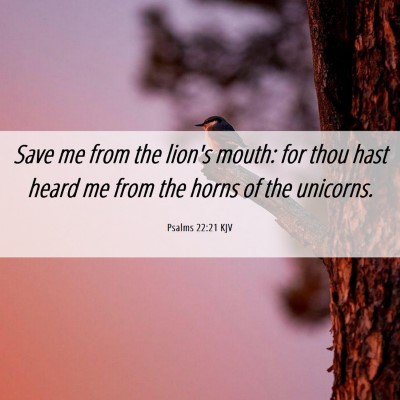 Picture 06 - Psalms 22:21 KJV - Save me from the lion's mouth: for thou hast - Bible Verse Picture
