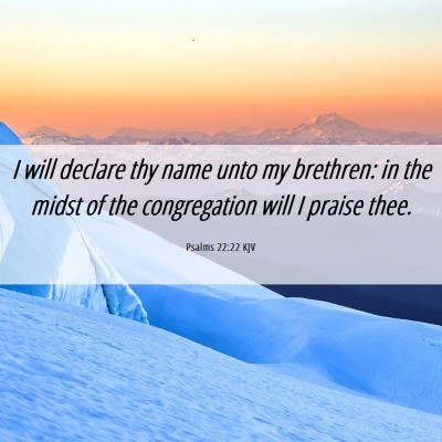 Picture 06 - Psalms 22:22 KJV - I will declare thy name unto my brethren: in the - Bible Verse Picture
