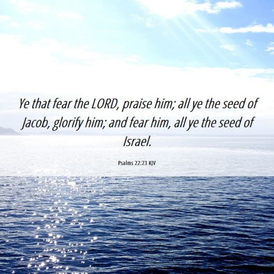 Picture 06 - Psalms 22:23 KJV - Ye that fear the LORD, praise him; all ye the - Bible Verse Picture