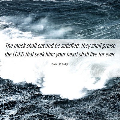 Picture 06 - Psalms 22:26 KJV - The meek shall eat and be satisfied: they shall - Bible Verse Picture