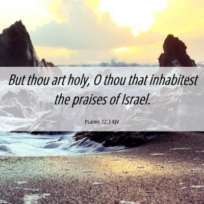 Picture 06 - Psalms 22:3 KJV - But thou art holy, O thou that inhabitest the - Bible Verse Picture
