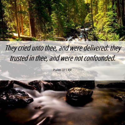 Picture 06 - Psalms 22:5 KJV - They cried unto thee, and were delivered: they - Bible Verse Picture