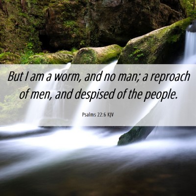 Picture 06 - Psalms 22:6 KJV - But I am a worm, and no man; a reproach of men, - Bible Verse Picture