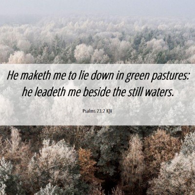 Picture 06 - Psalms 23:2 KJV - He maketh me to lie down in green pastures: he - Bible Verse Picture